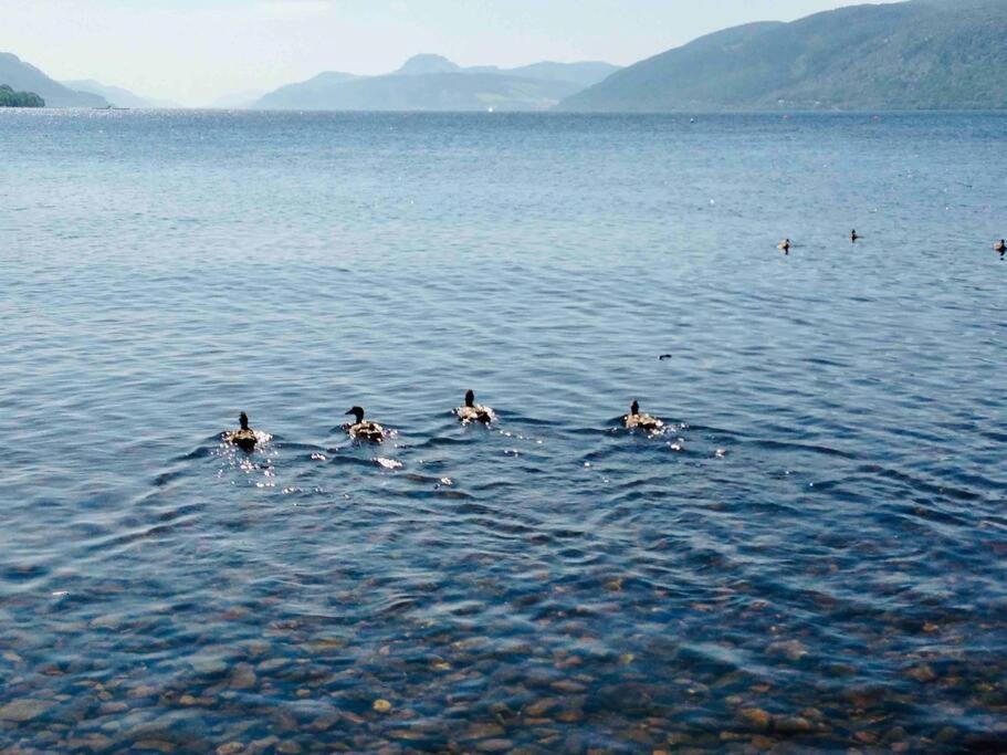 The Pod At Loch Ness Heights At Athbhinn, Iv26Tu - Inverness — Photos 1